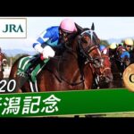 2020年 新潟記念(GⅢ) | ブラヴァス | JRA公式