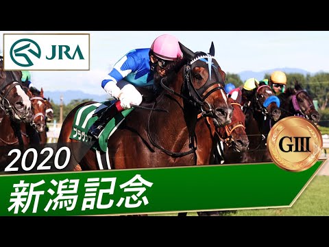 2020年 新潟記念（GⅢ） | ブラヴァス | JRA公式