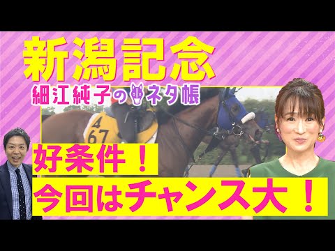 「今週はごちゃごちゃ買わずに…！」ライトバック、レッドラディエンス、キングズパレス・・・新潟記念(ＧⅢ)を元ジョッキーの細江純子さんが徹底解説！＜細江純子のネタ帳＞