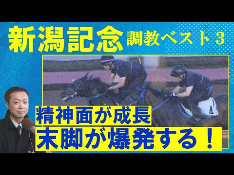 【「能力まちがいなし！」文句なしの1位は！？】ライトバック、レッドラディエンス、キングズパレス・・・競馬エイト・高橋賢司トラックマンの調教解説＜新潟記念(ＧⅢ)＞