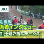 【注目馬 関係者インタビュー】2024年 小倉2歳ステークス|JRA公式