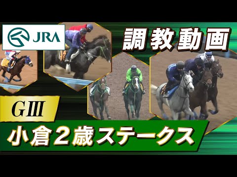 【調教動画】2024年 小倉2歳ステークス｜JRA公式