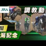 【調教動画】2024年 新潟記念|JRA公式