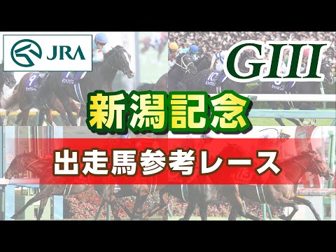 【参考レース】2024年 新潟記念｜JRA公式