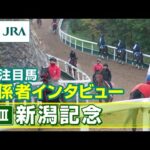 【注目馬 関係者インタビュー】2024年 新潟記念|JRA公式