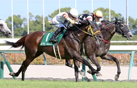 【奇跡】29歳グラスワンダーとキングヘイローの産駒が同日勝利