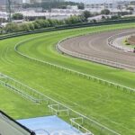 【日本競馬界】不祥事ステークス(DQN1)/2024