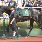 【競馬予想】[1]第60回新潟記念(GⅢ) /2024