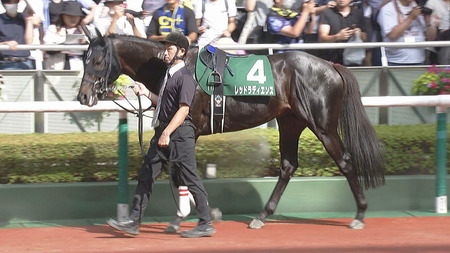 【競馬予想】[1]第60回新潟記念(GⅢ) /2024