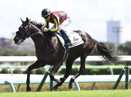 レイデオロの希望トロヴァトーレ3勝クラス突破できず