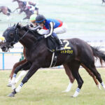 【競馬予想】[2]第60回新潟記念(GⅢ) /2024