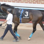 【競馬予想】[2]第29回エルムステークス(GIII) /2024