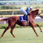 【朗報】エアジハードが存命していた 1999 安田記念・マイルCS勝馬