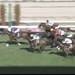 【競馬】UHB賞は武豊騎乗のプルパレイがV 武豊は4勝の固め勝ち