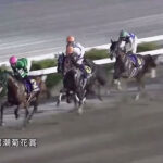 【高知競馬】プリフロオールイン黒潮菊花賞制し高知競馬場三冠達成