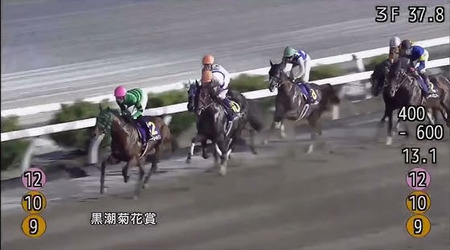 【高知競馬】プリフロオールイン黒潮菊花賞制し高知競馬場三冠達成