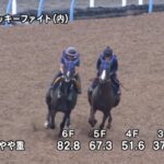 【レパードステークス2024】追い切り/抜群の動きを見せたのは