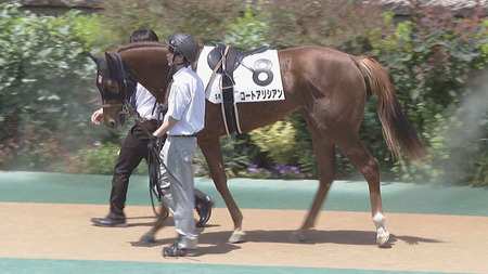 【競馬予想】第44回 新潟2歳ステークス(GⅢ) /2024