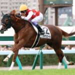 【頂上決戦】アルテヴェローチェvsアルレッキーノ サウジアラビアRCで激突