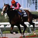 メイショウドトウは世界クラスの馬
