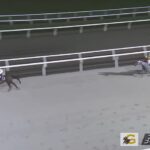 【ブリーダーズゴールドカップ2024】結果・動画/オーサムリザルトが力の違いを見せ圧勝