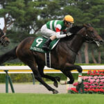 バゴ(父ナシュワン母父ヌレイエフ)←こいつが日本競馬にフィットしまくる謎