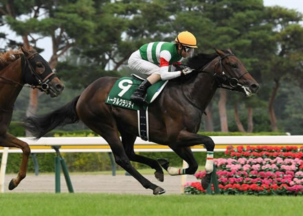 バゴ（父ナシュワン母父ヌレイエフ）←こいつが日本競馬にフィットしまくる謎