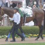 【競馬予想】[2] 第19回 キーンランドカップ(GⅢ) /2024