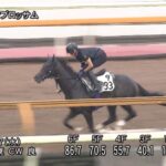 【関屋記念2024】追い切り/動きを見極め勝利に近づけ