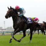 で、結局現役の古馬NO1はどの馬だよ