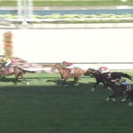 【札幌記念】単勝1.3倍プログノーシス川田wwwwww
