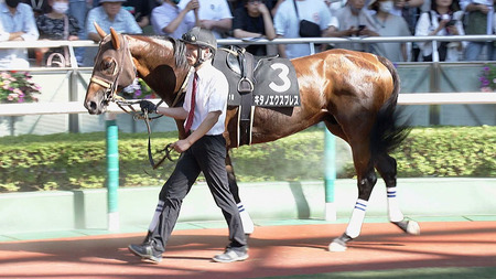 【競馬予想】第60回CBC賞(GⅢ) /2024