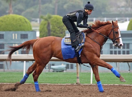 ジャスティファイは現代のサンデーサイレンス