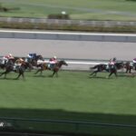 【CBC賞2024】出走予定馬・騎手/勢いよく駆け抜けろ