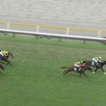 【新潟2歳ステークス2024】結果・動画/トータルクラリティが差し返す