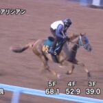 【新潟2歳ステークス2024】追い切り/調教を見てわかる事