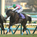 【競馬予想】[1]第29回エルムステークス(GIII) /2024