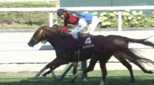 やっぱ３場開催やとちと忙しいな　他