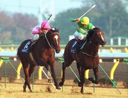 ここ数年のJCが深刻なまでに空き巣レースなのは何故？