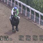 【CBC賞2024】追い切り/抜群の動きを見せたのは
