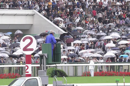 台風と聞いて思い出す馬