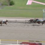 【競馬】レパードSは戸崎騎乗のミッキーファイトがV
