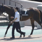 【競馬予想】[2]第16回 レパードステークス(GIII) /2024