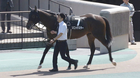 【競馬予想】[2]第16回 レパードステークス(GIII) /2024