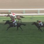 【札幌2歳ステークス2024】結果・動画/マジックサンズが接戦を制する