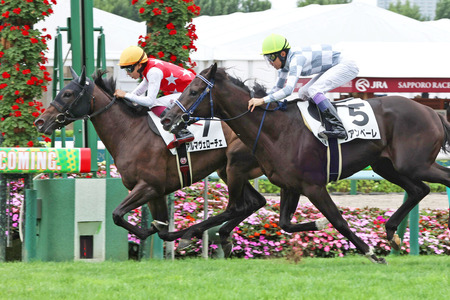 【2歳新馬】キズナ最高傑作リアンベーレとは何だったのか