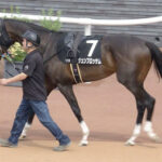 【競馬予想】[1]第59回関屋記念(GⅢ) /2024