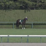 【CBC賞】サウンドビバーチェ 3度目の放馬wwww