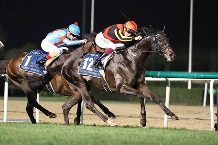 【急募】 松山が騎乗停止でシャフリヤール(牡6)札幌記念の鞍上