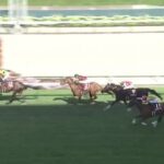 【競馬】札幌記念は岩田康誠騎乗のノースブリッジがV 圧倒的1番人気のプログノーシス4着